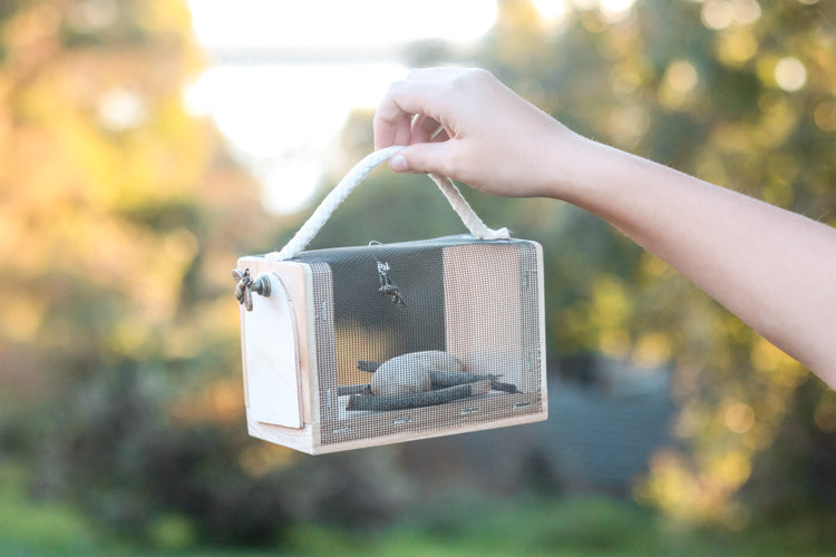 Mini Bug Keeper
