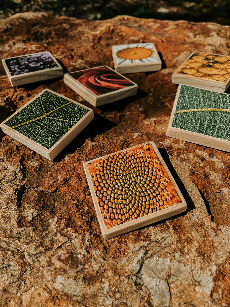 Textured Nature Tiles & Matching Cards | Plant & Flower Learning Resource