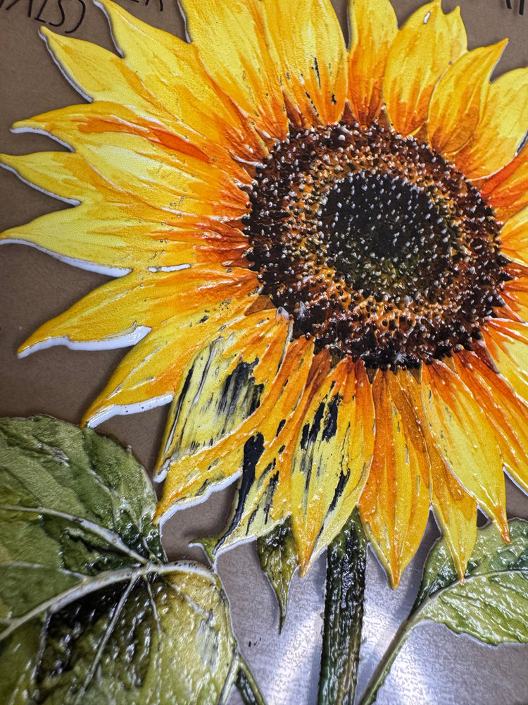 Sunflower anatomy #2