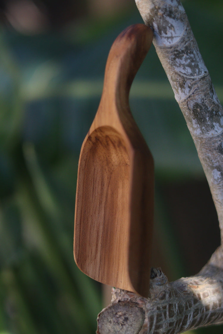 Teak bean scoop