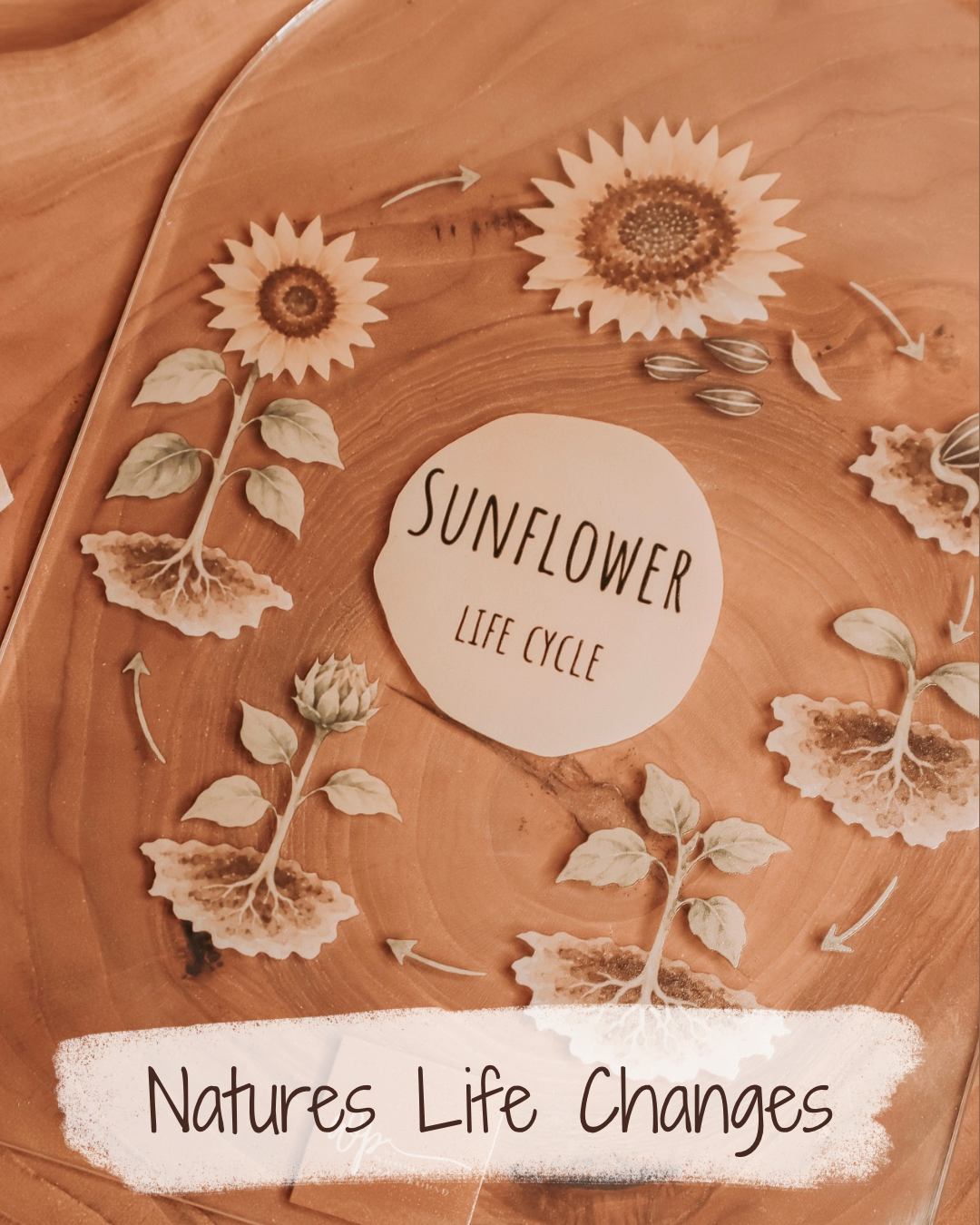 Nature's Life Changes