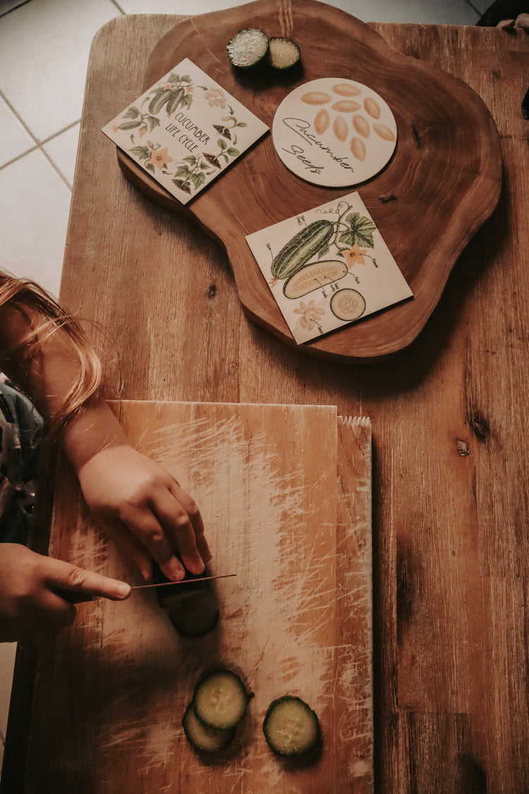 Vegetable discovery set