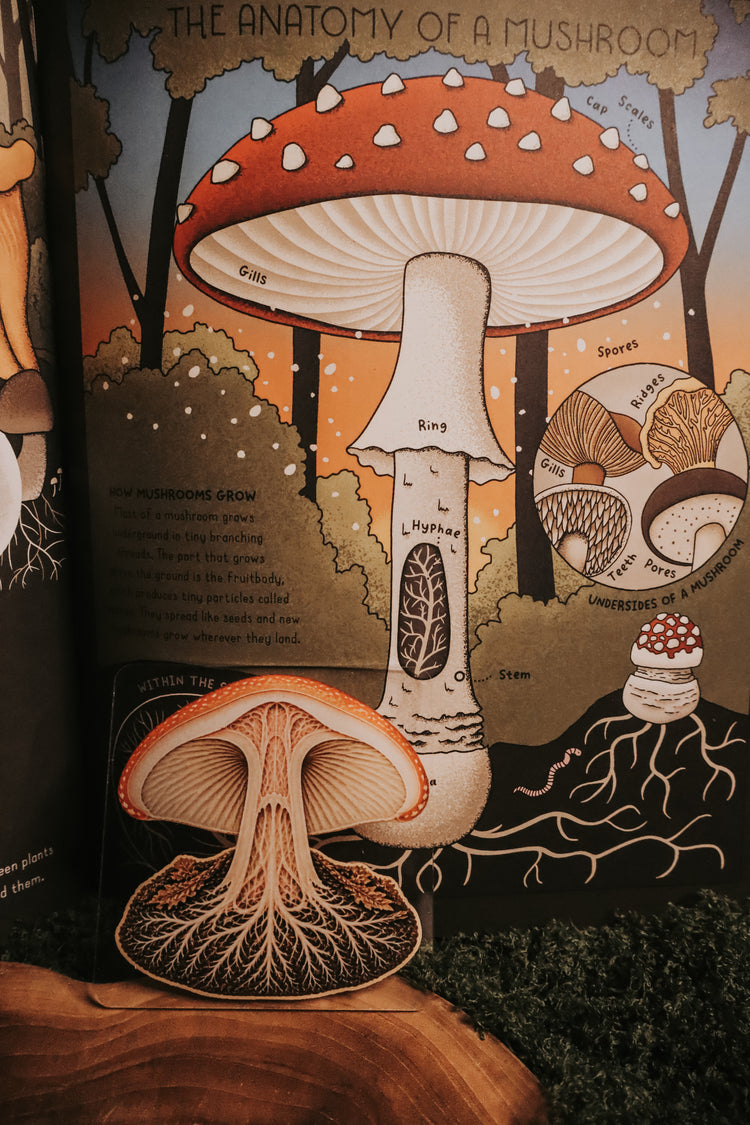 Layered mushroom