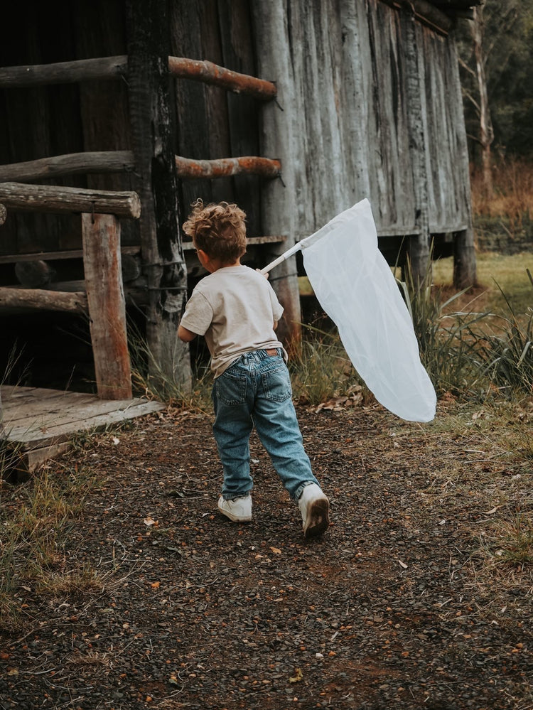 Insect catching net