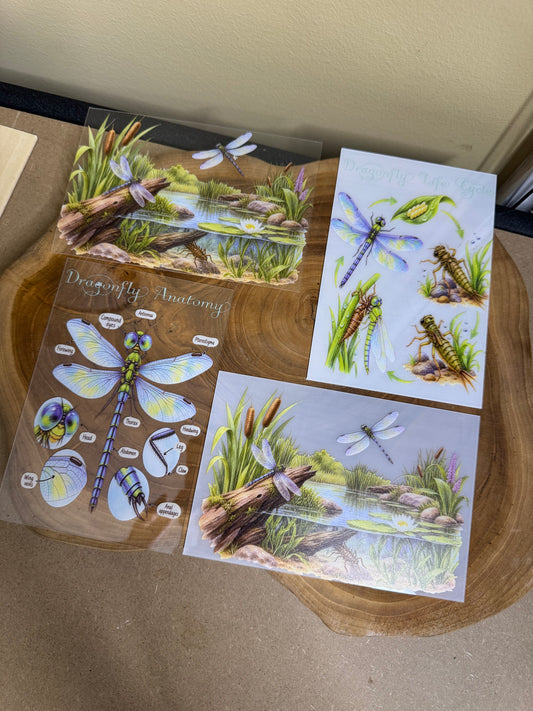 Dragonfly pack