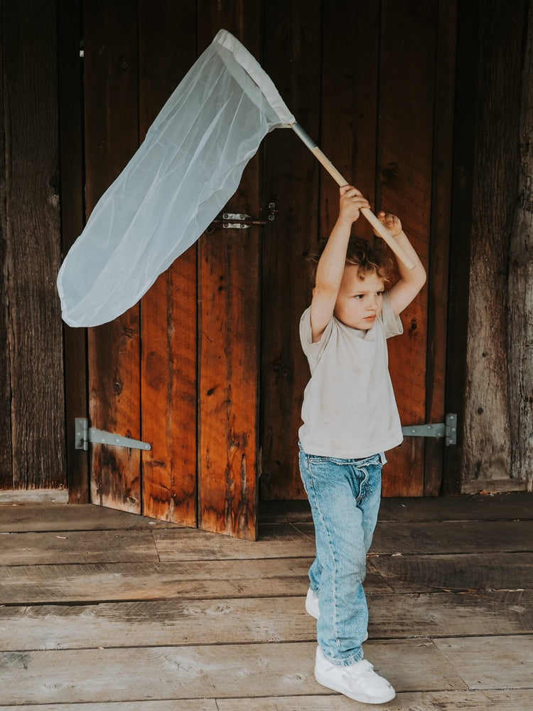 Insect catching net