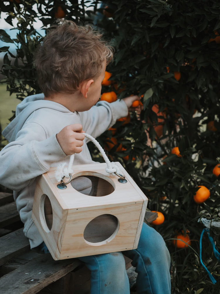 Nature Box