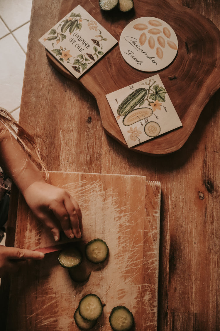 Vegetable discovery set