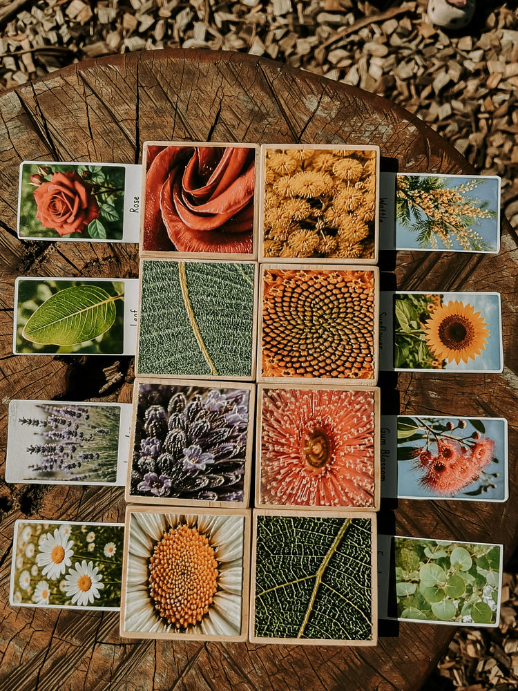 Textured Nature Tiles & Matching Cards | Plant & Flower Learning Resource