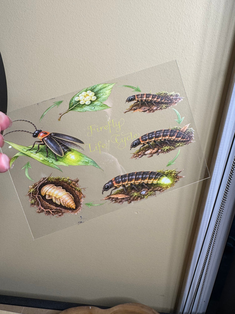 Firefly pack