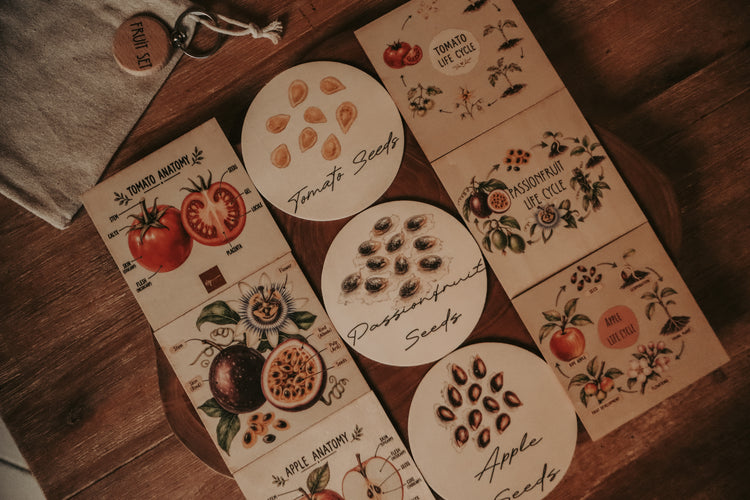 Fruit Discovery Set
