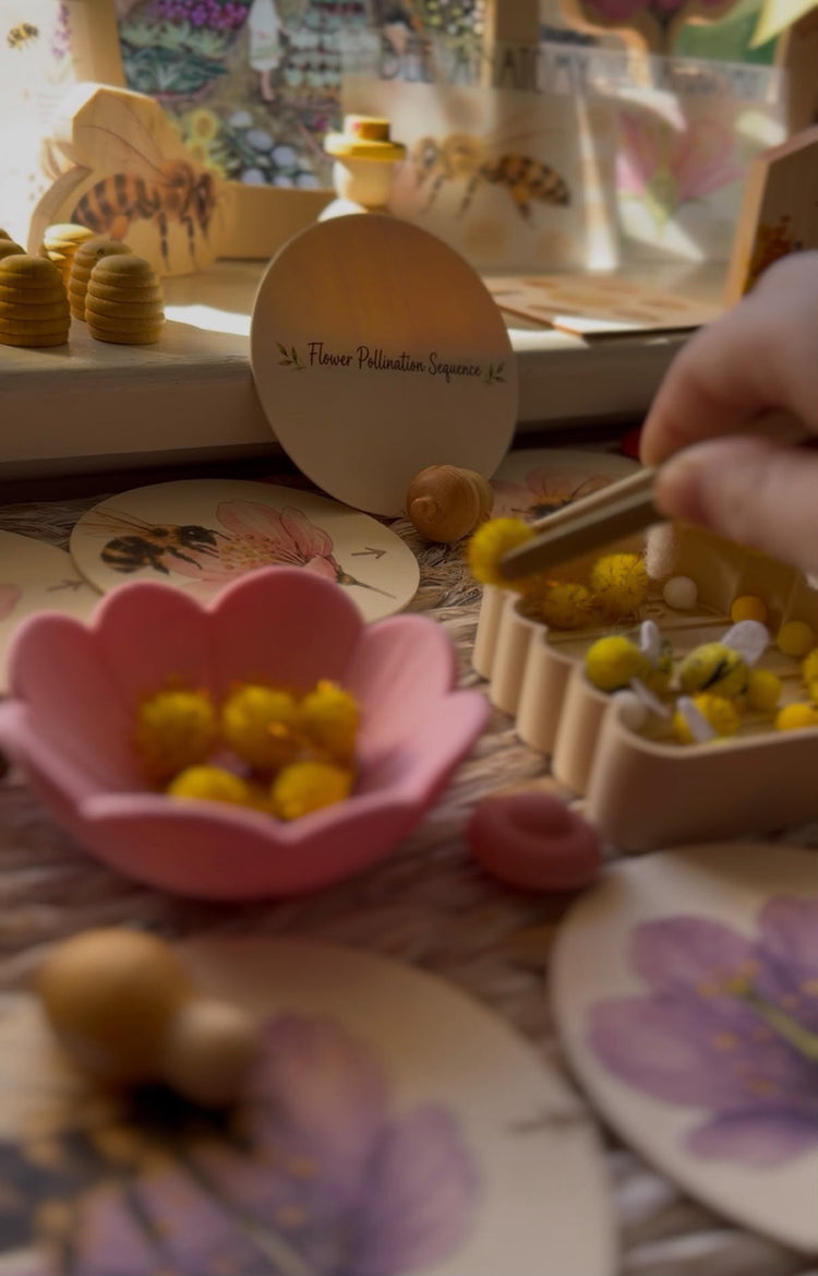 Pollination Discovery Kit | Hands-On Nature & STEM Learning