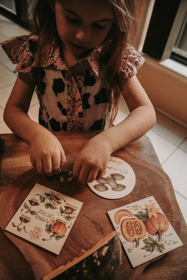 Vegetable discovery set