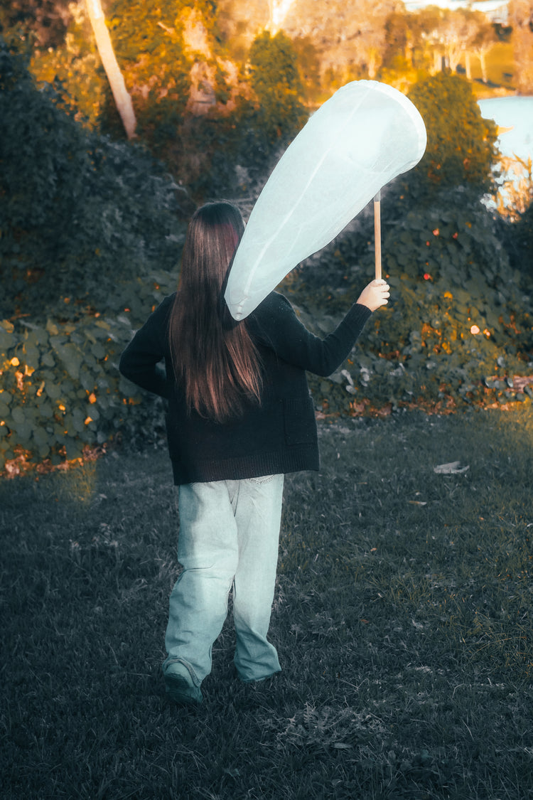 Insect catching net