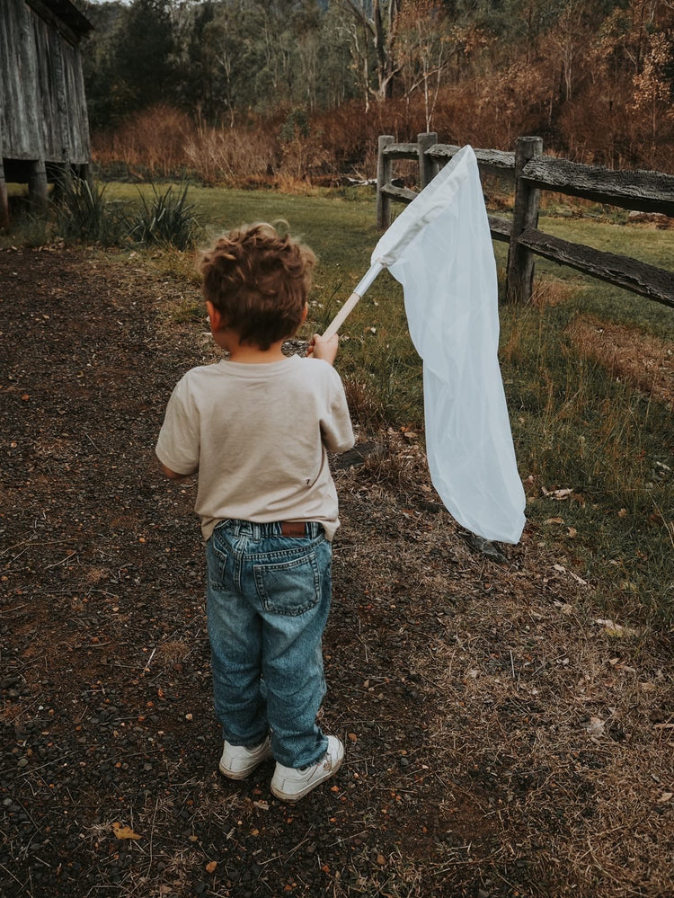 Insect catching net