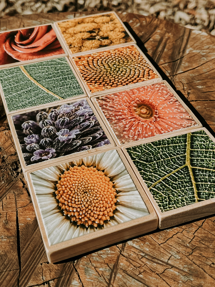 Textured Nature Tiles & Matching Cards | Plant & Flower Learning Resource