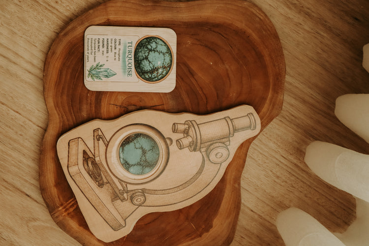 Under the scope- Gems, Crystal & Mineral Set (Add On)