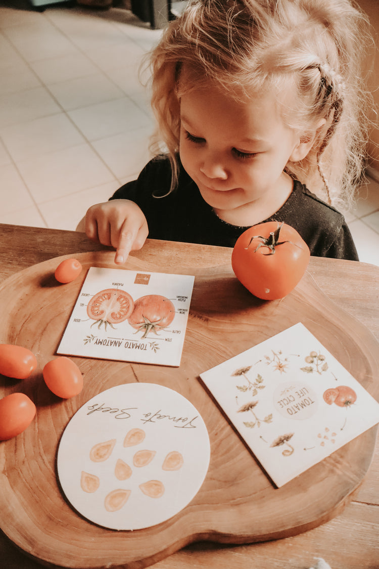 Fruit Discovery Set