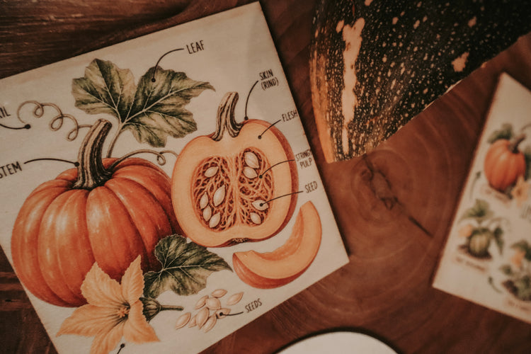 Vegetable discovery set