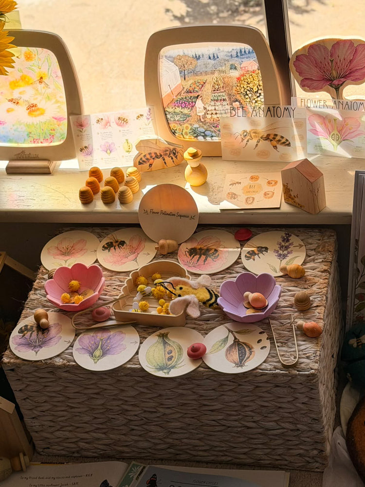 Pollination Discovery Kit | Hands-On Nature & STEM Learning