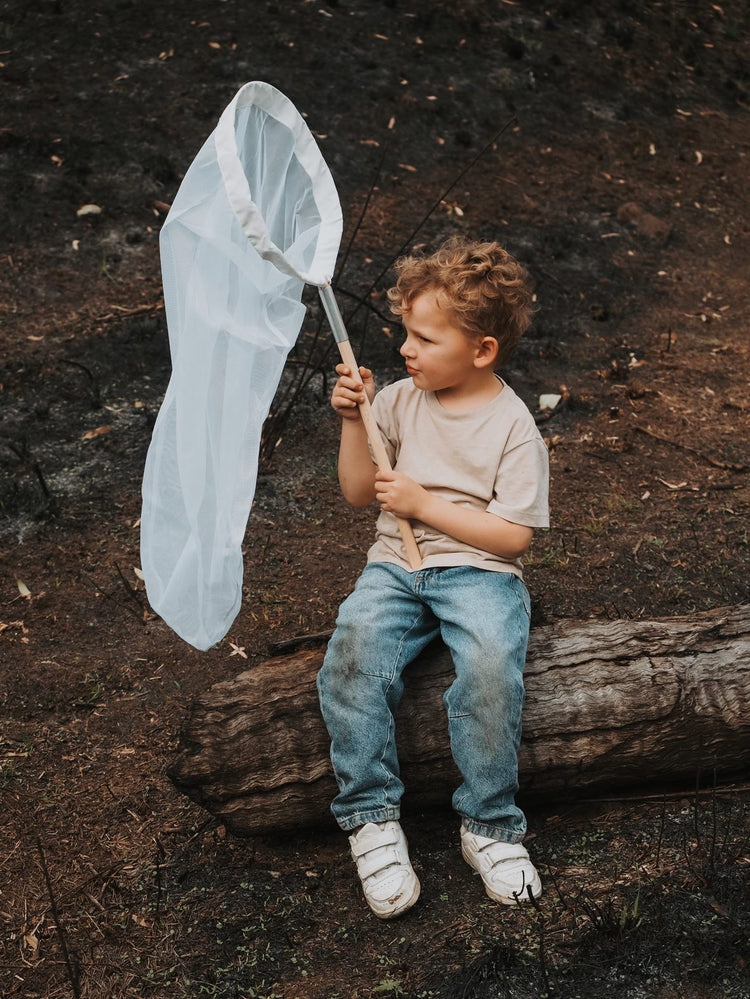 Insect catching net