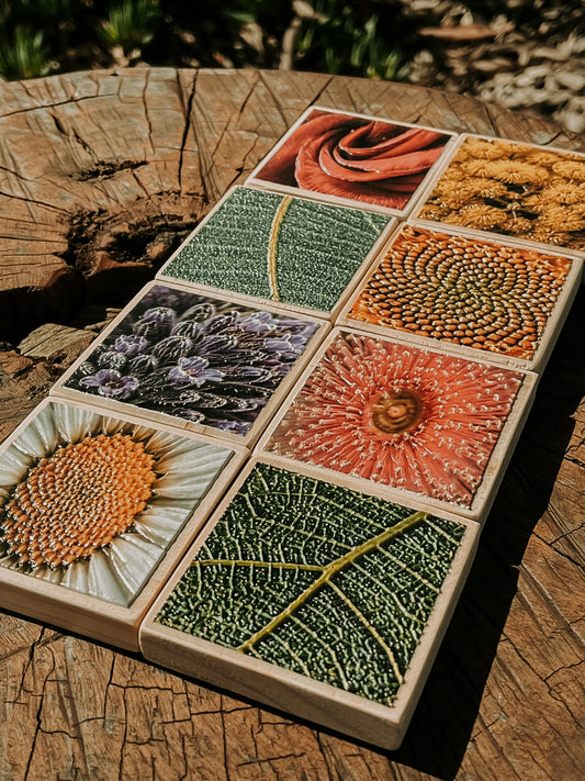 Textured Nature Tiles & Matching Cards | Plant & Flower Learning Resource