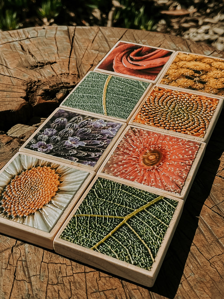 Textured Nature Tiles & Matching Cards | Plant & Flower Learning Resource