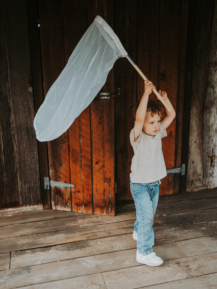 Insect catching net