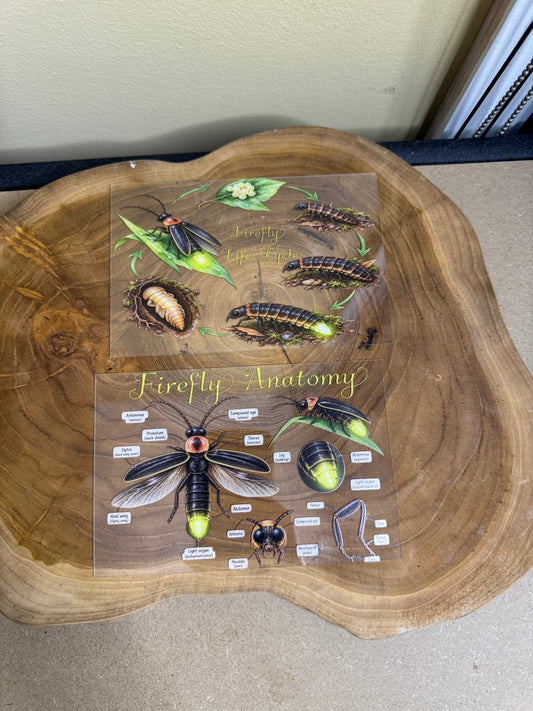 Firefly pack