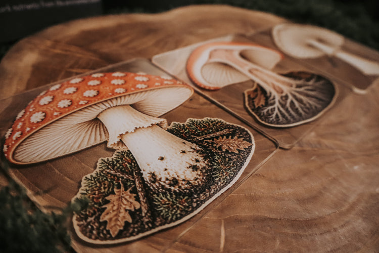 Layered mushroom