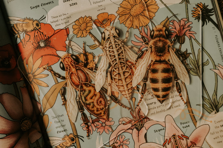 Layered Bee