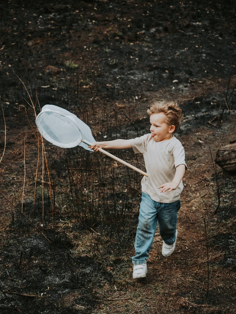 Insect catching net