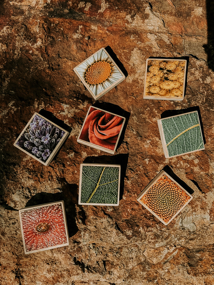 Textured Nature Tiles & Matching Cards | Plant & Flower Learning Resource
