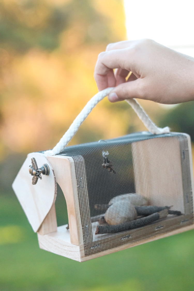 Mini Bug Keeper