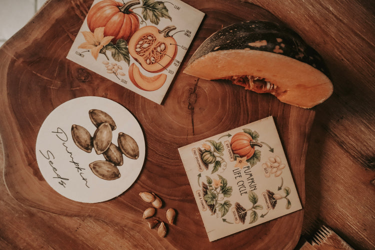 Vegetable discovery set