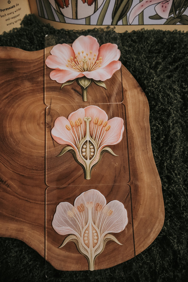 Layered Flower