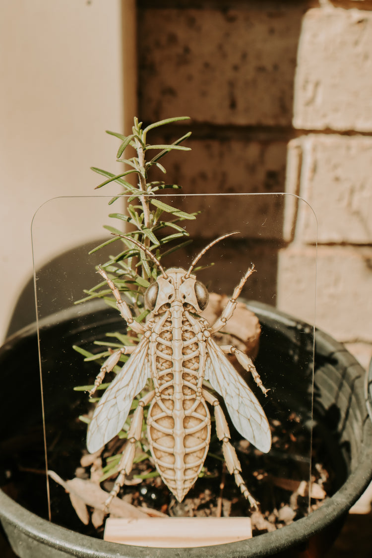Layered Bee