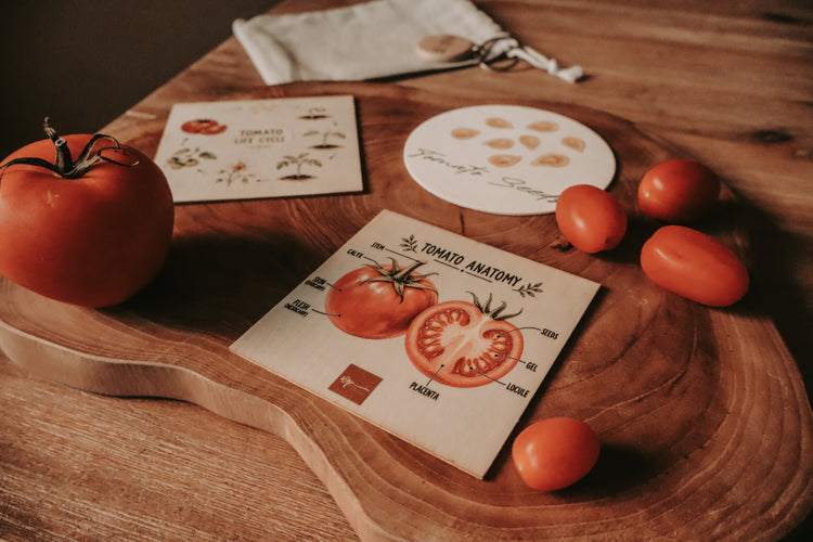Fruit Discovery Set