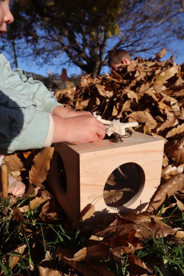 Nature Box