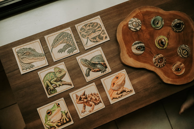 Reptile eye matching set