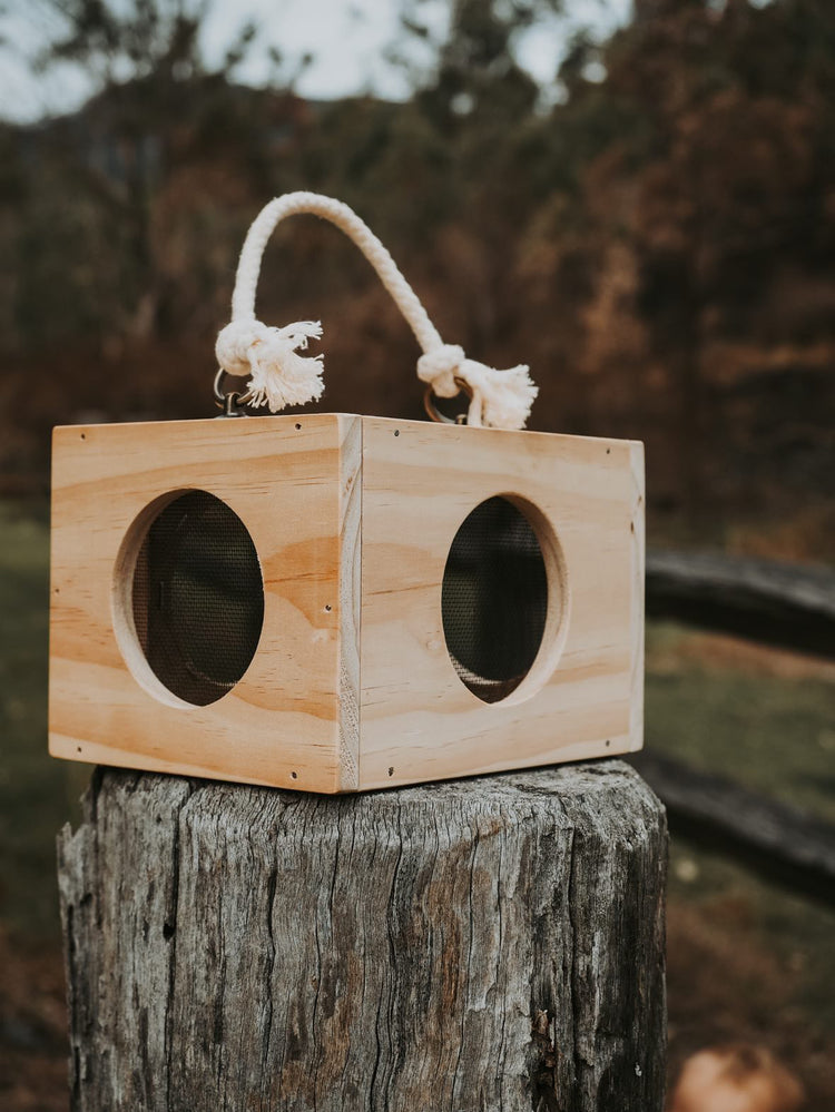 The Nature Bundle- worm farm observer, nature box, bug keeper and net