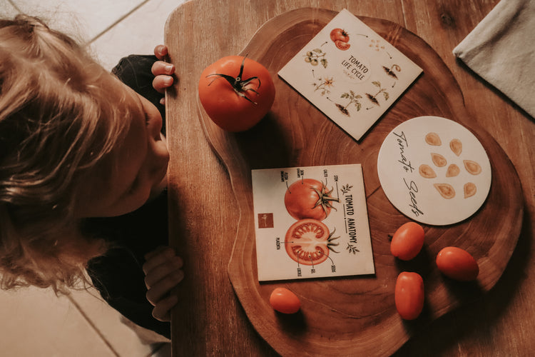 Fruit Discovery Set