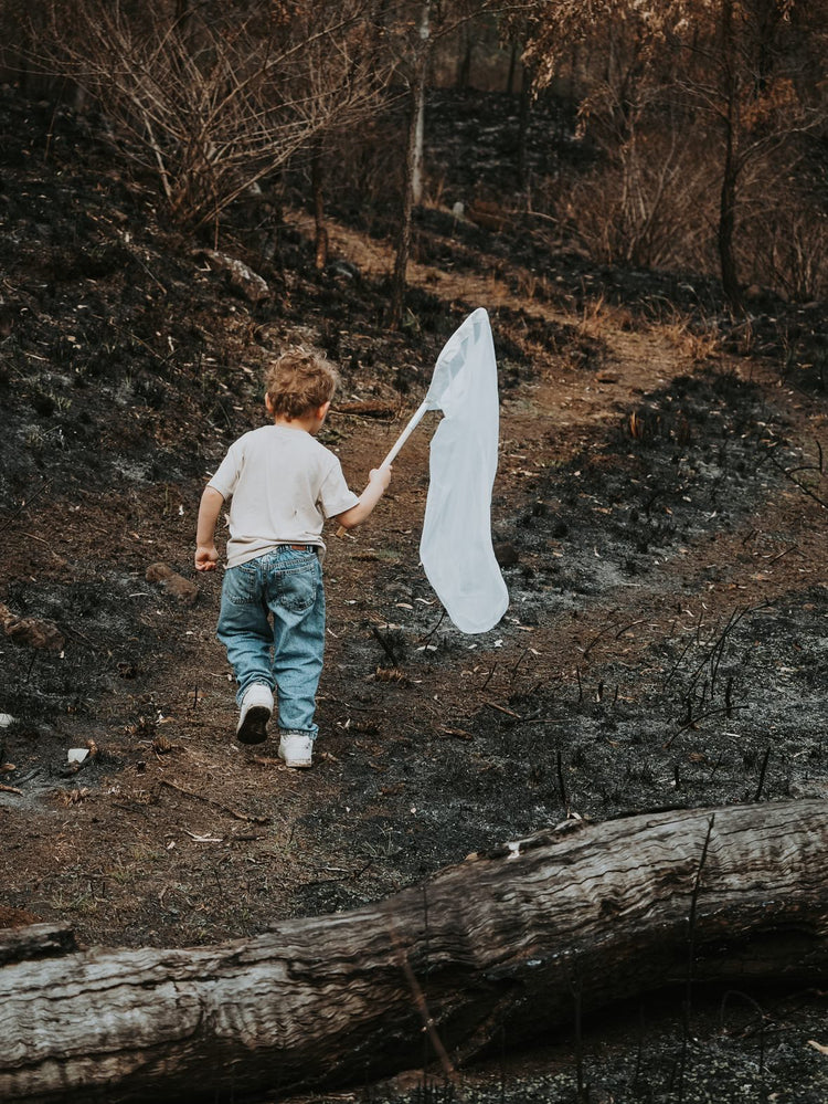 Insect catching net