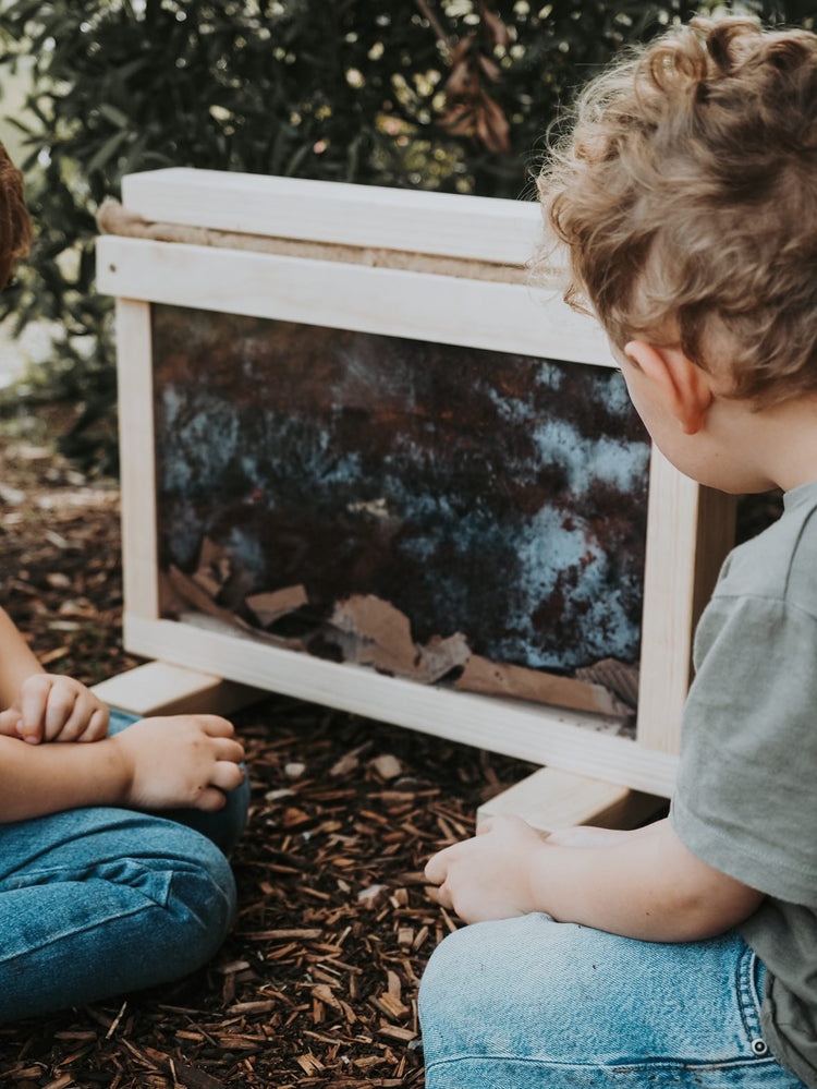The Nature Bundle- worm farm observer, nature box, bug keeper and net