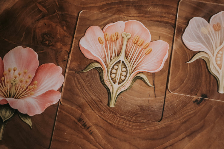 Layered Flower
