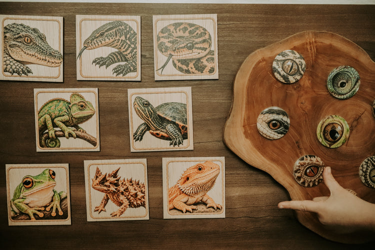 Reptile eye matching set