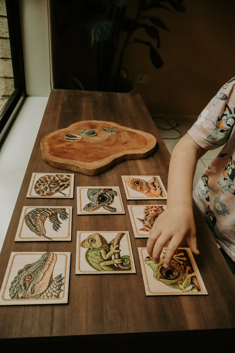 Reptile eye matching set