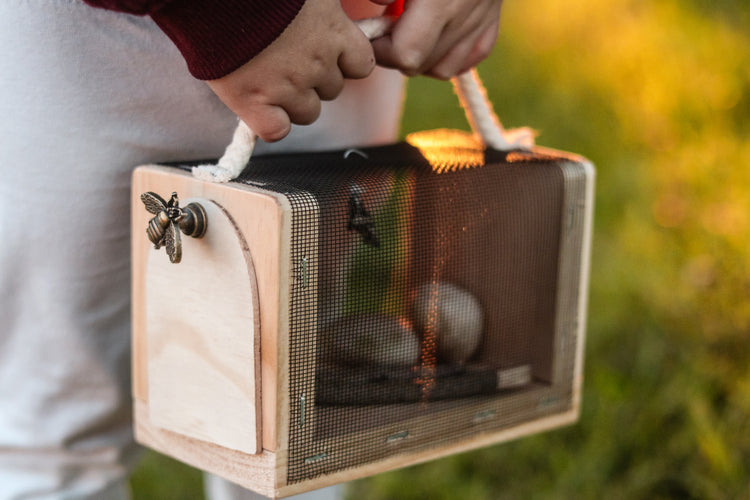 Mini Bug Keeper