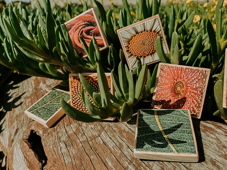 Textured Nature Tiles & Matching Cards | Plant & Flower Learning Resource