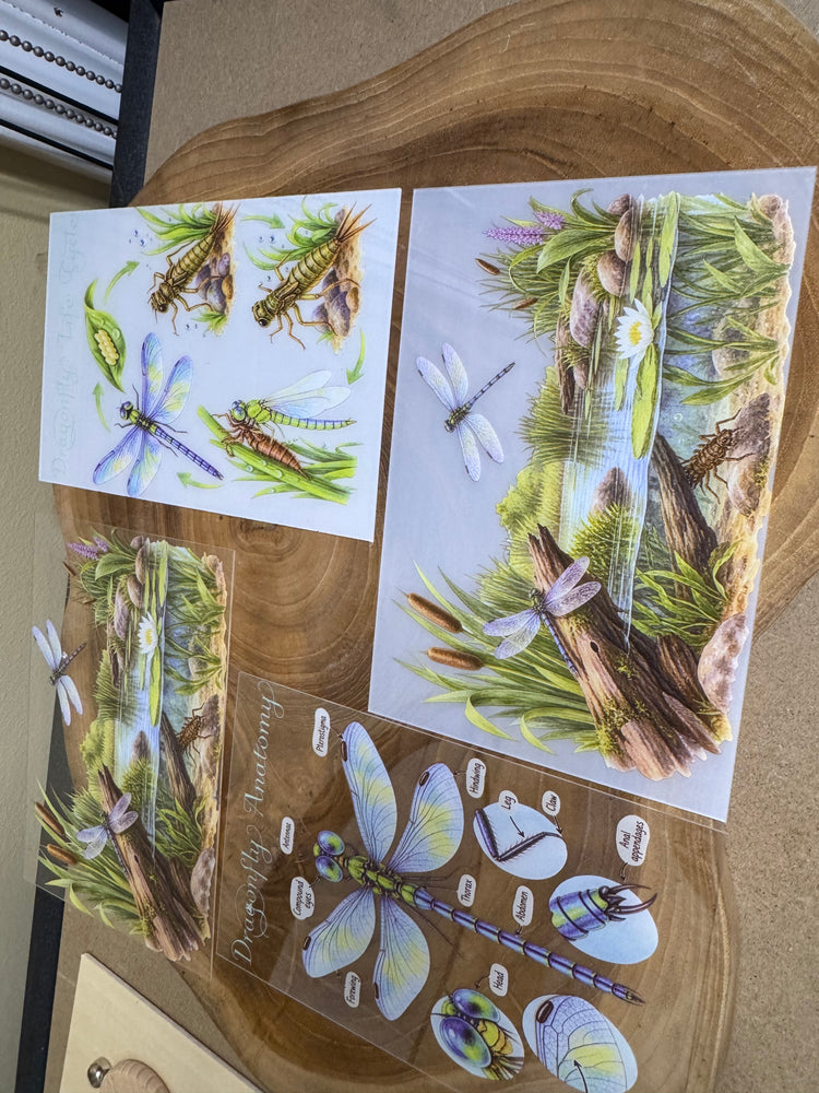 Dragonfly pack